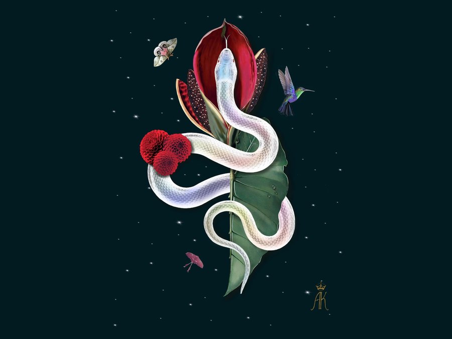 Artwork by Anne-Kristin: a white serpent winding around a red flower under a starry sky